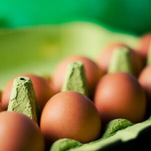 One Dozen Farm Fresh Eggs (Farm Stand Purchase Only)